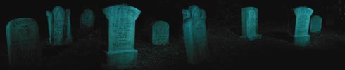 ART_HauntedMansionGraveyard8