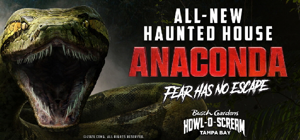 2026_0731_Anaconda